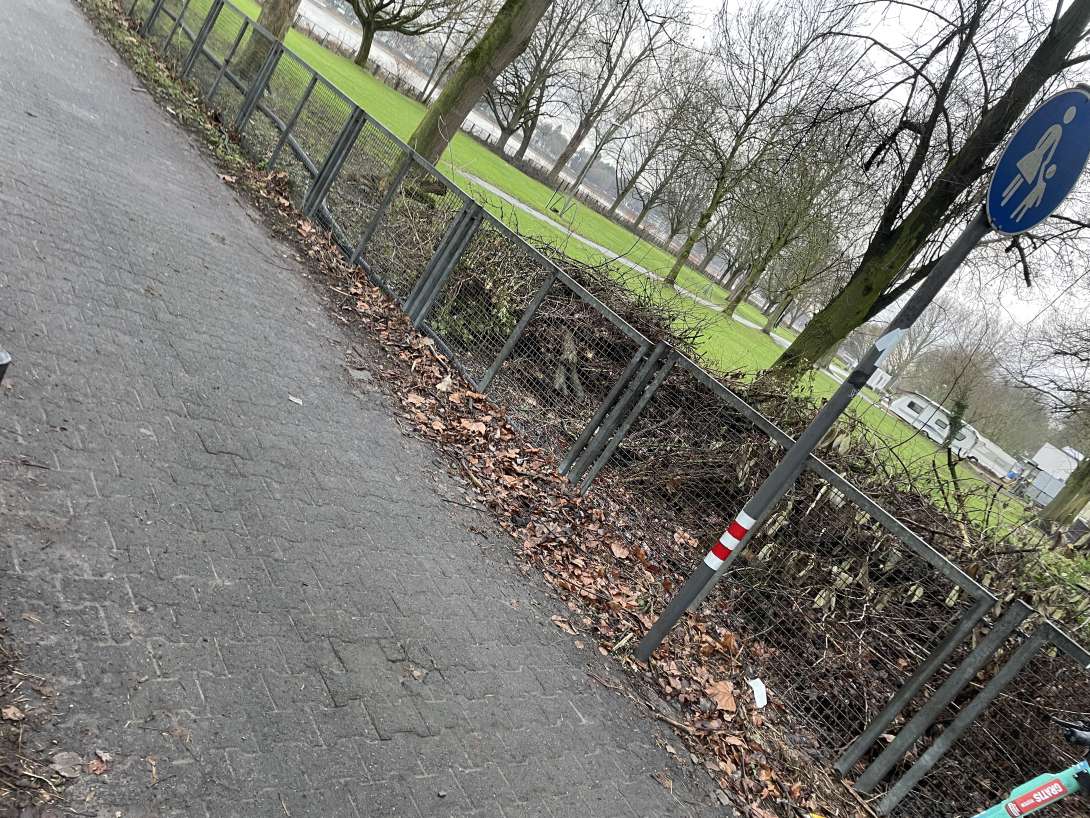 Bild zu gemeldetem Anliegen vom *2025-01-30 09:57:32