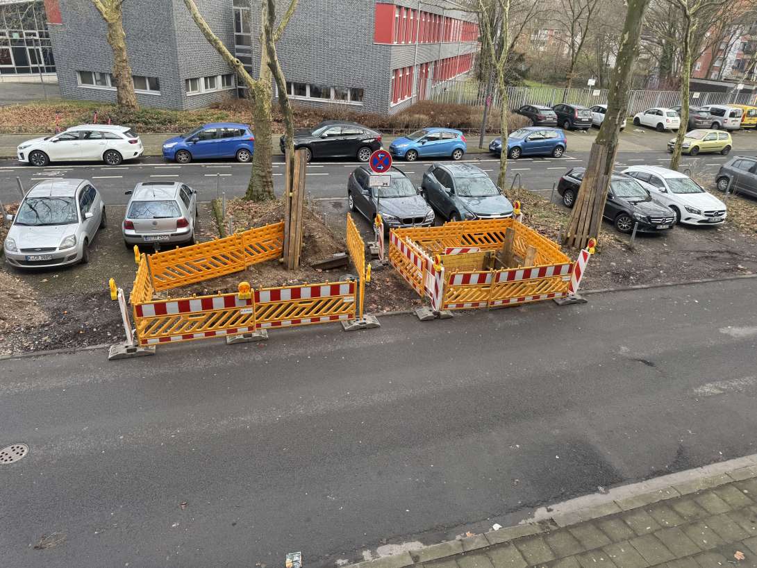 Bild zu gemeldetem Anliegen vom *2025-01-31 13:34:02