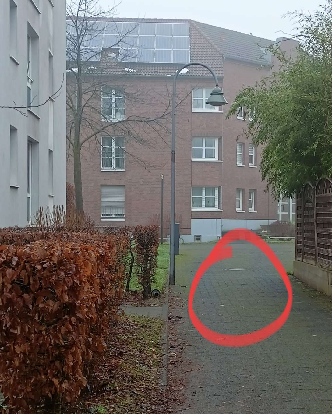 Bild zu gemeldetem Anliegen vom *2025-01-15 13:43:22