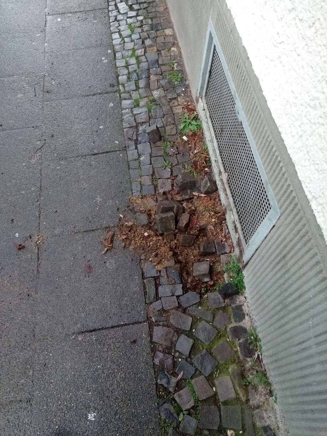 Bild zu gemeldetem Anliegen vom *2025-01-30 16:04:03