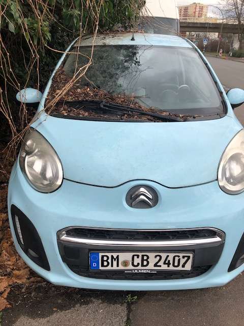 Bild zu gemeldetem Anliegen vom *2025-01-17 09:43:47