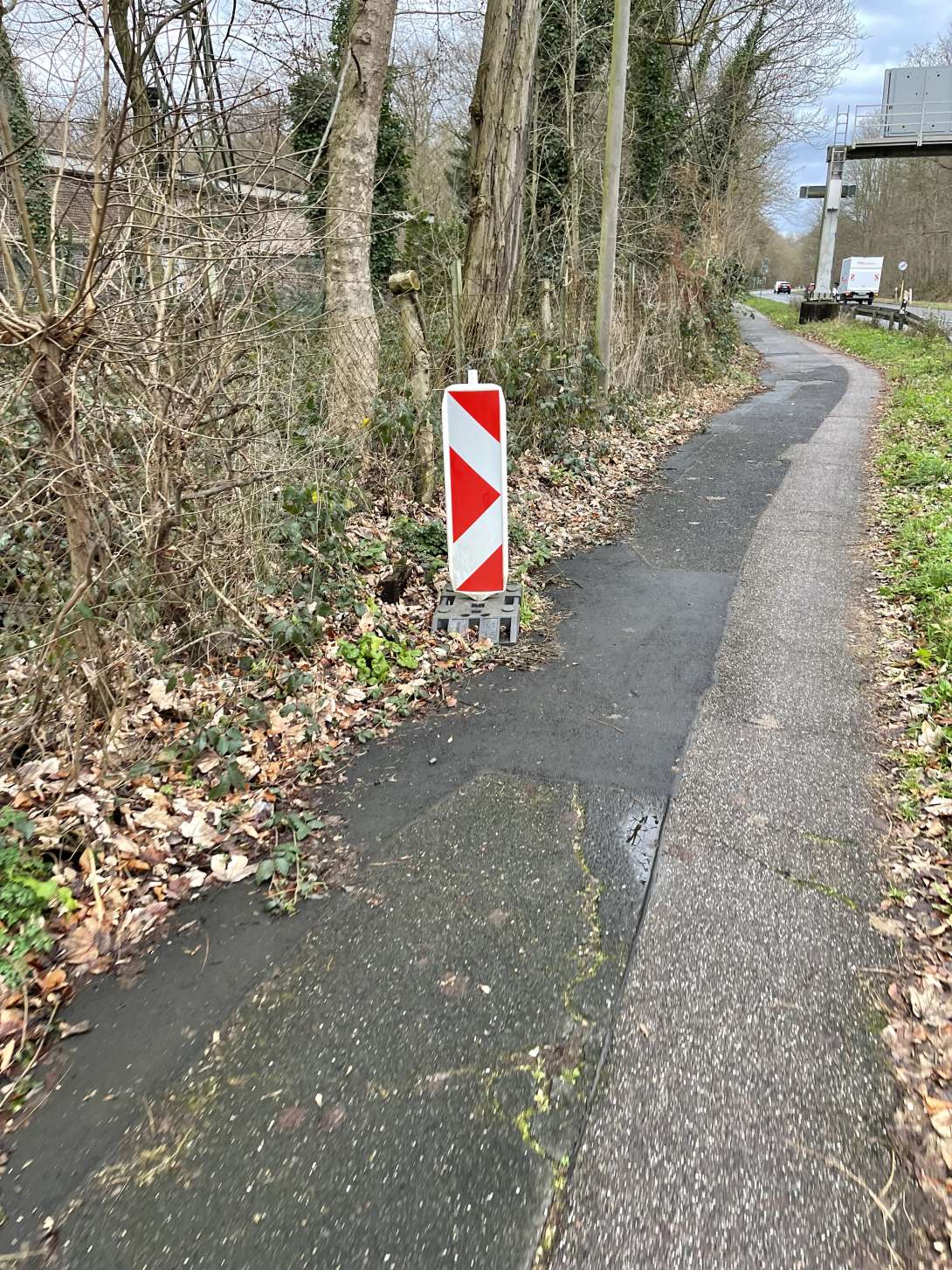 Bild zu gemeldetem Anliegen vom *2025-01-08 06:28:06