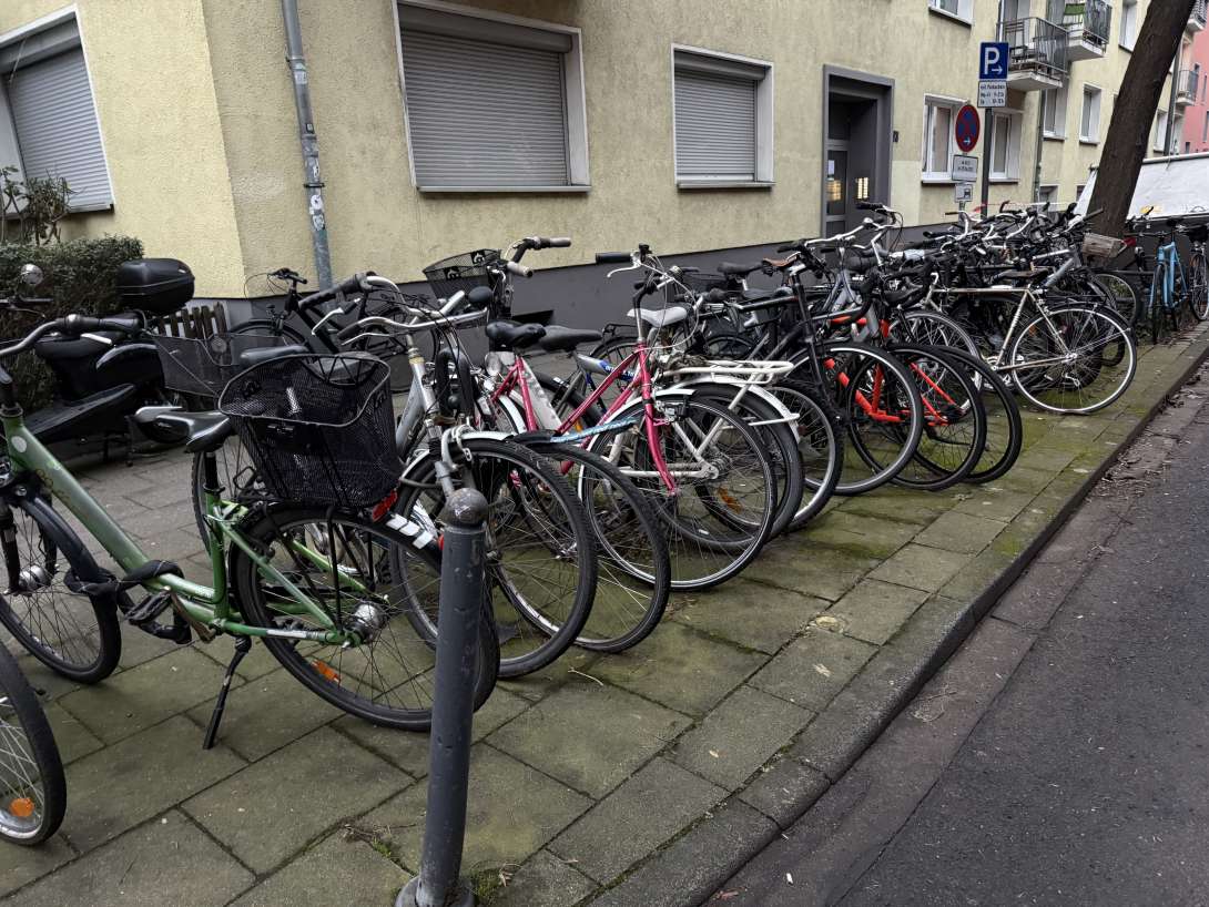 Bild zu gemeldetem Anliegen vom *2025-01-20 09:44:48