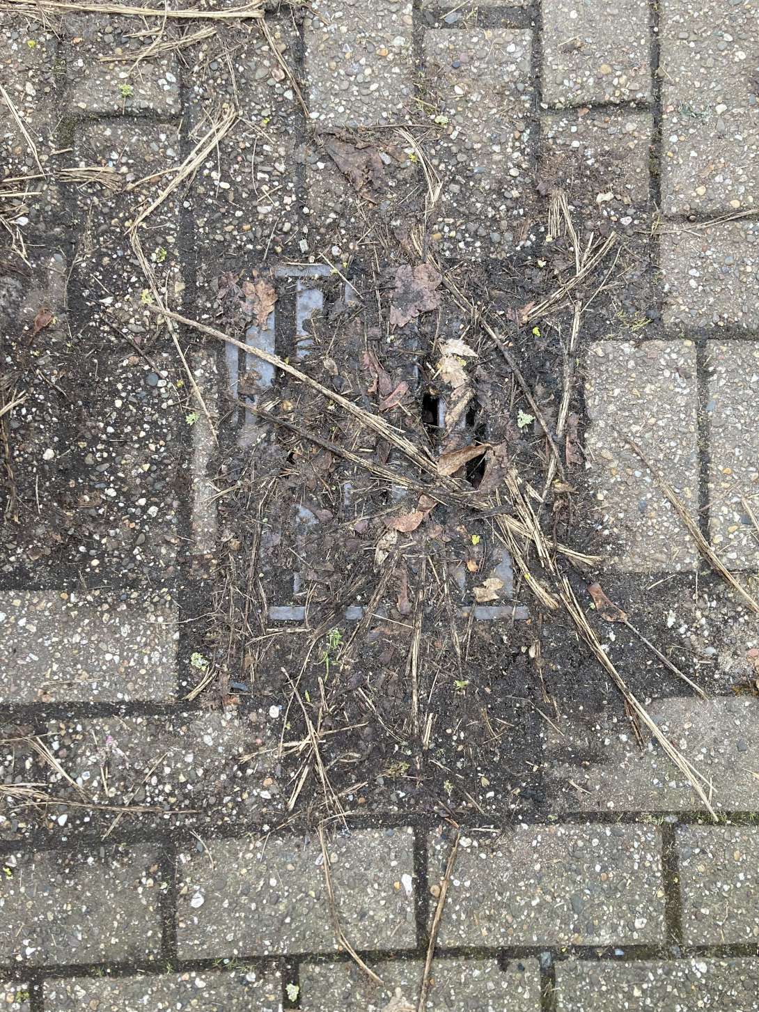 Bild zu gemeldetem Anliegen vom *2025-01-27 11:07:01
