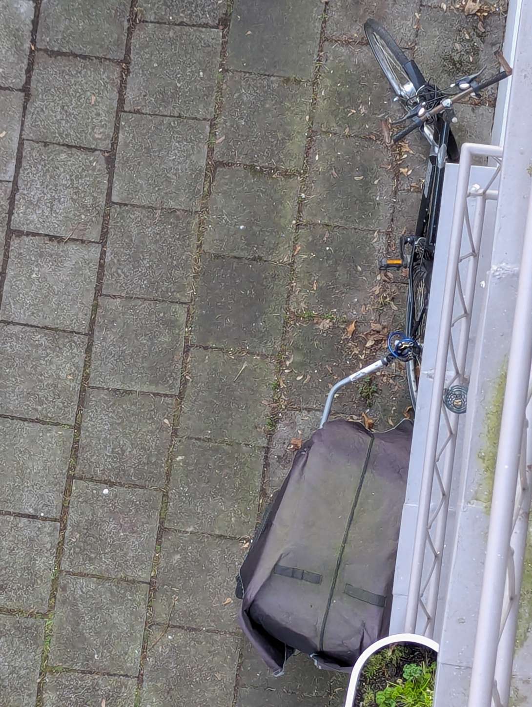 Bild zu gemeldetem Anliegen vom *2025-02-18 08:18:14