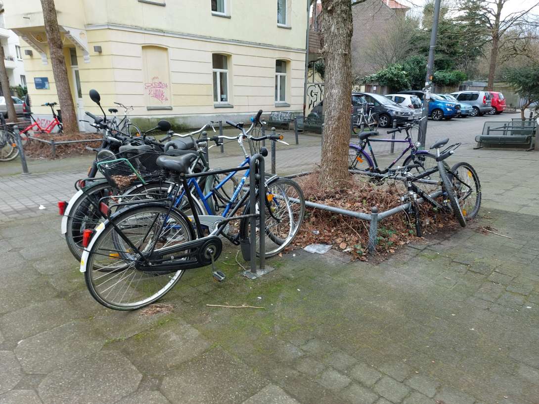 Bild zu gemeldetem Anliegen vom *2025-02-17 12:40:58
