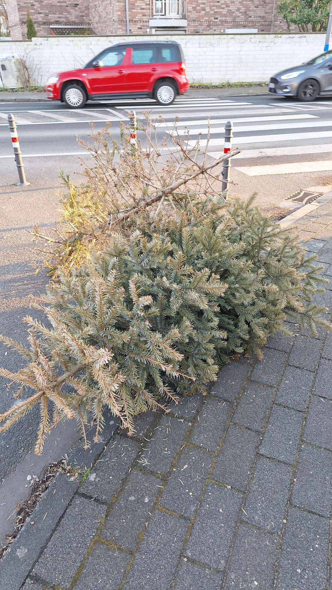 Bild zu gemeldetem Anliegen vom *2025-02-03 17:43:20