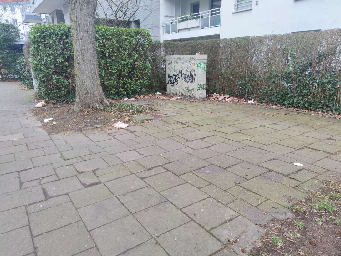 Bild zu gemeldetem Anliegen vom *2025-02-10 14:59:57