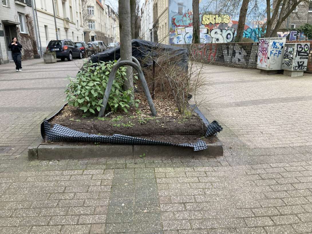 Bild zu gemeldetem Anliegen vom *2025-02-25 17:40:38