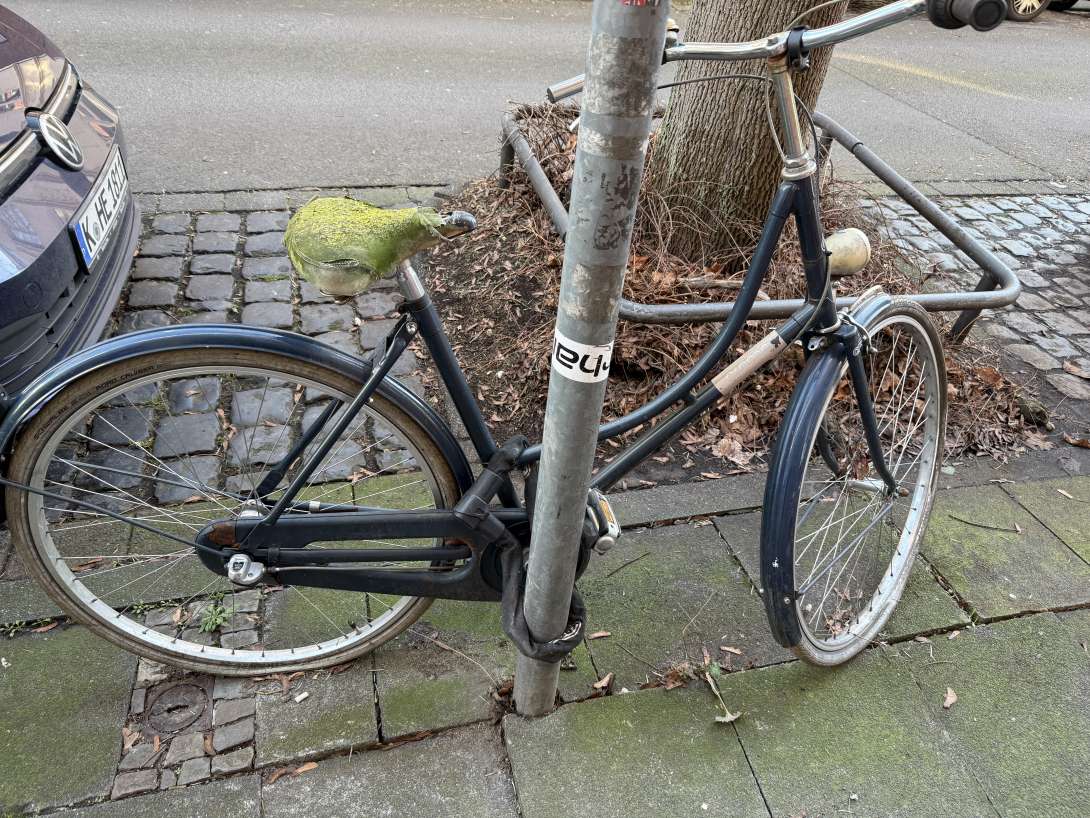 Bild zu gemeldetem Anliegen vom *2025-02-03 07:20:23