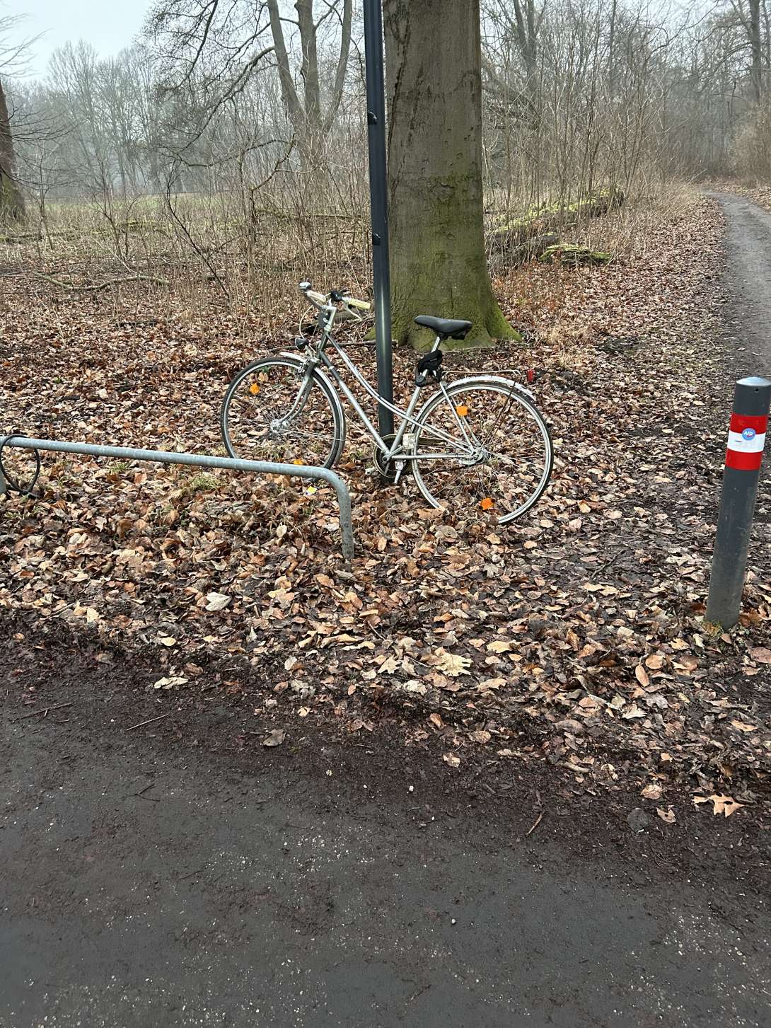 Bild zu gemeldetem Anliegen vom *2025-02-14 15:52:07