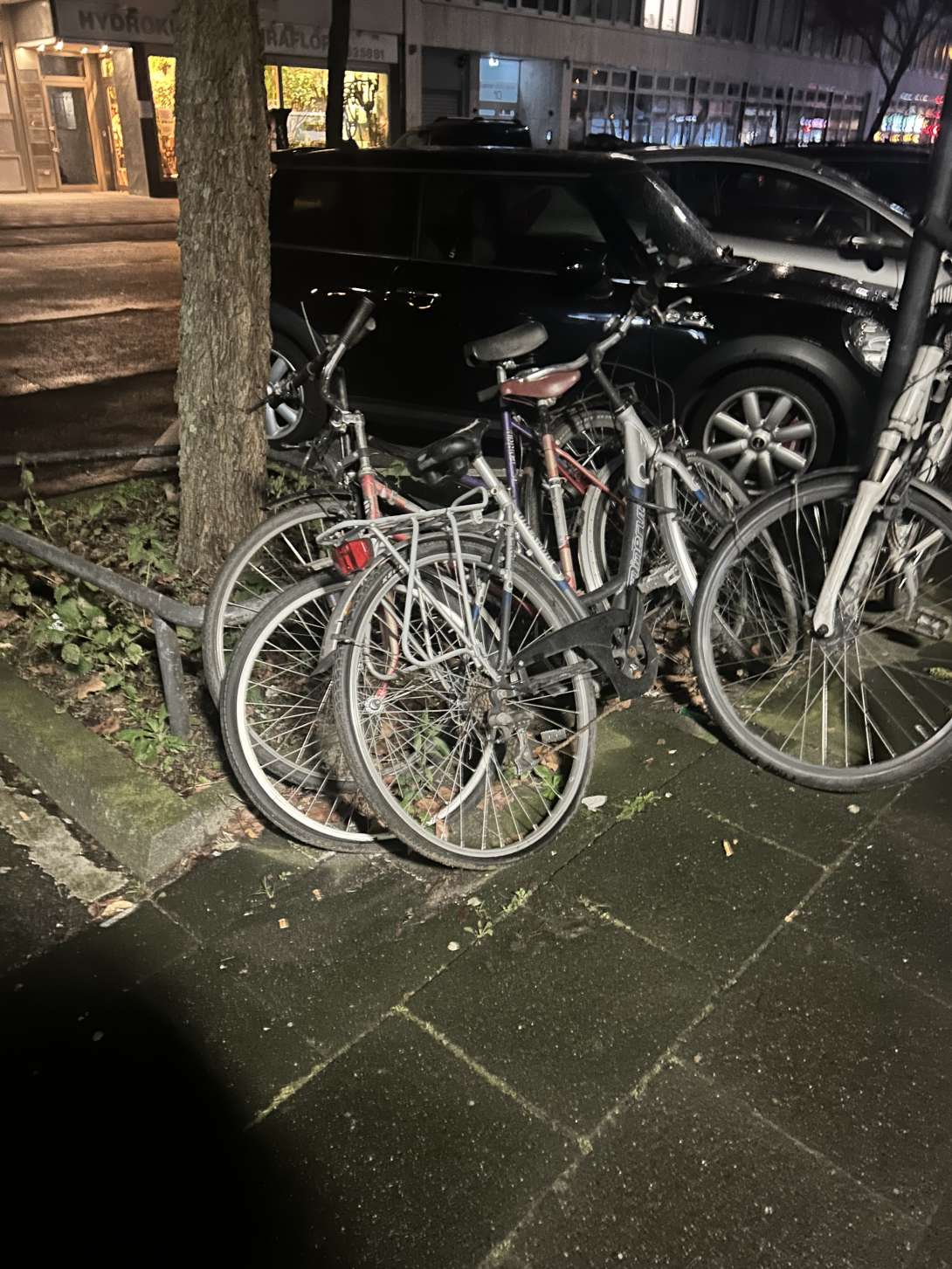Bild zu gemeldetem Anliegen vom *2025-02-25 23:02:19