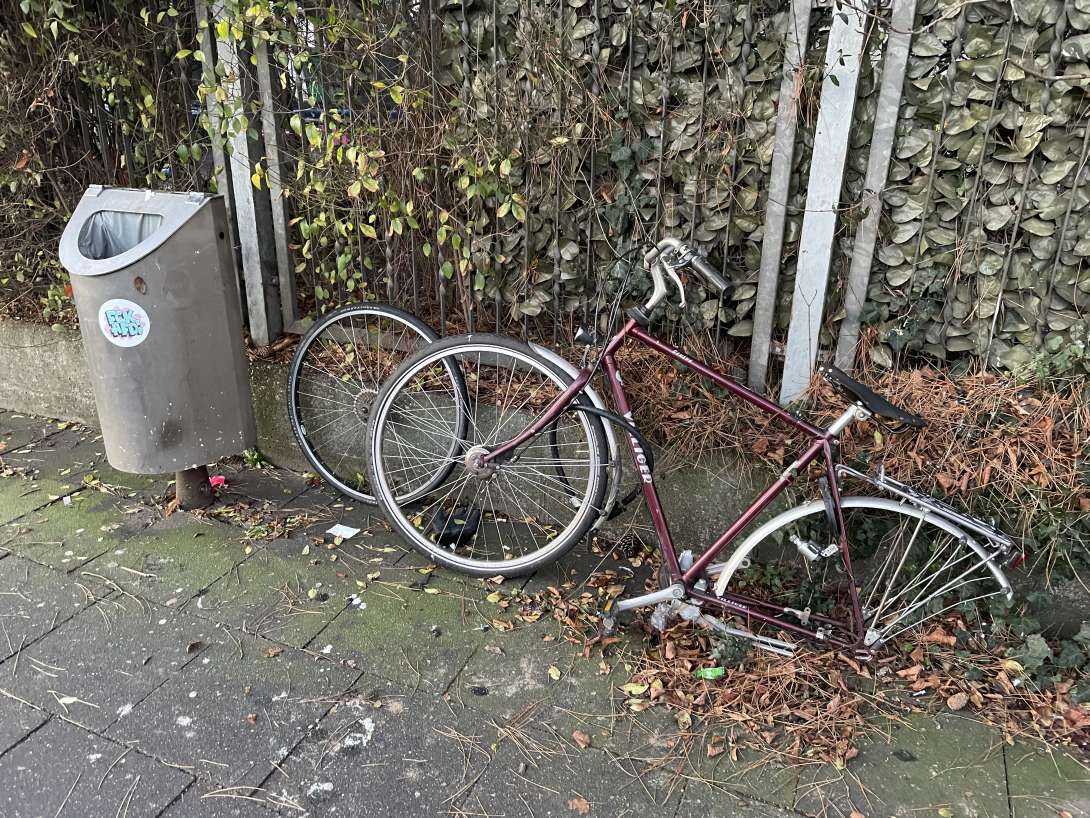 Bild zu gemeldetem Anliegen vom *2025-02-03 07:21:52