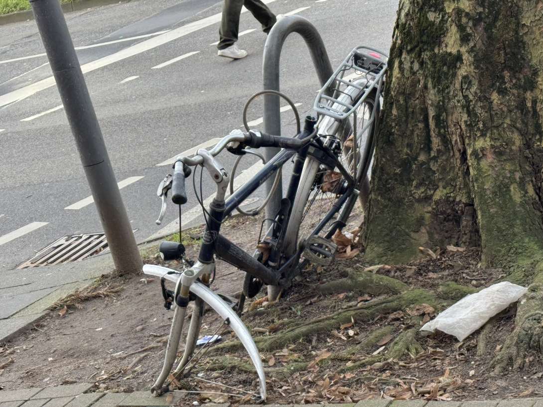 Bild zu gemeldetem Anliegen vom *2025-02-10 09:46:07