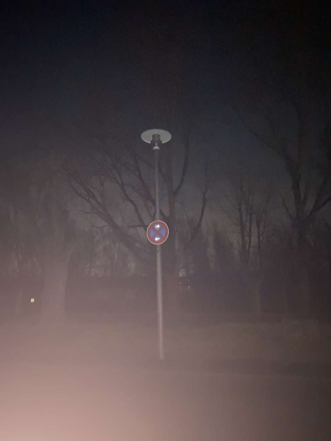 Bild zu gemeldetem Anliegen vom *2025-02-02 20:57:28