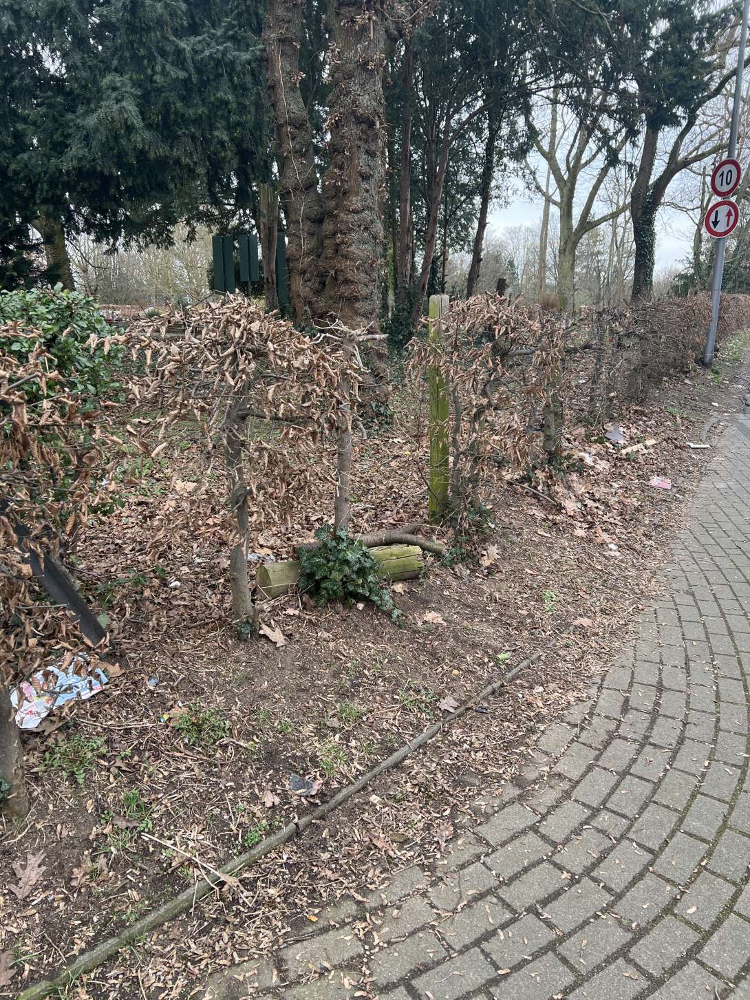 Bild zu gemeldetem Anliegen vom *2025-02-27 06:05:46
