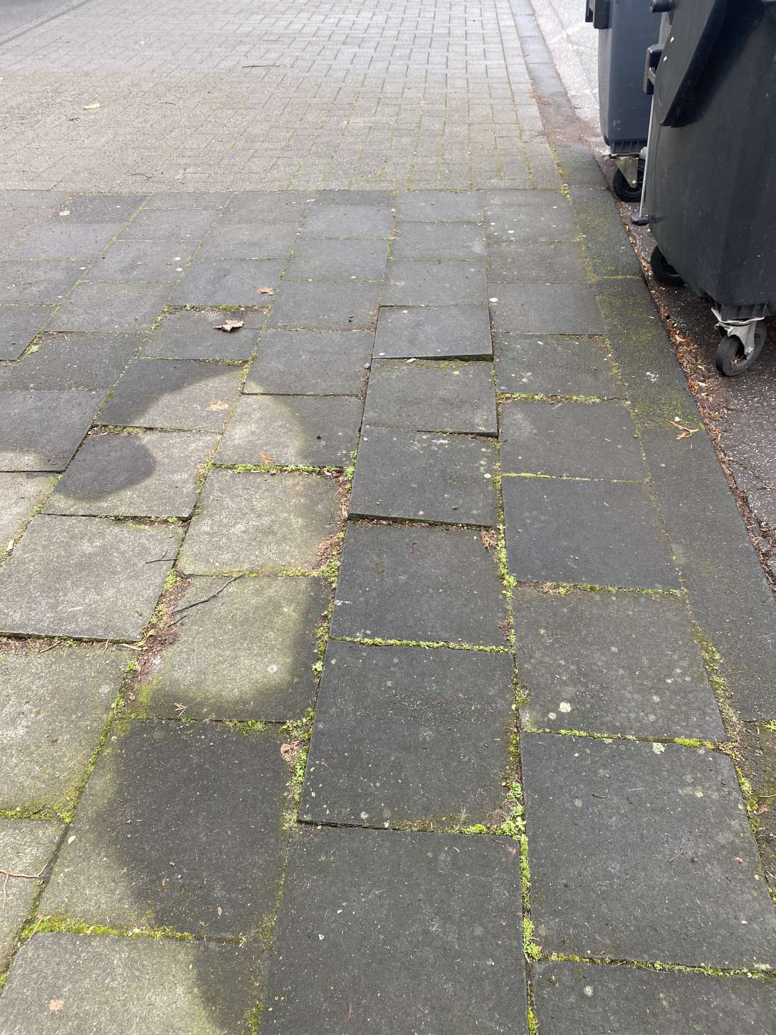 Bild zu gemeldetem Anliegen vom *2025-02-05 13:39:31