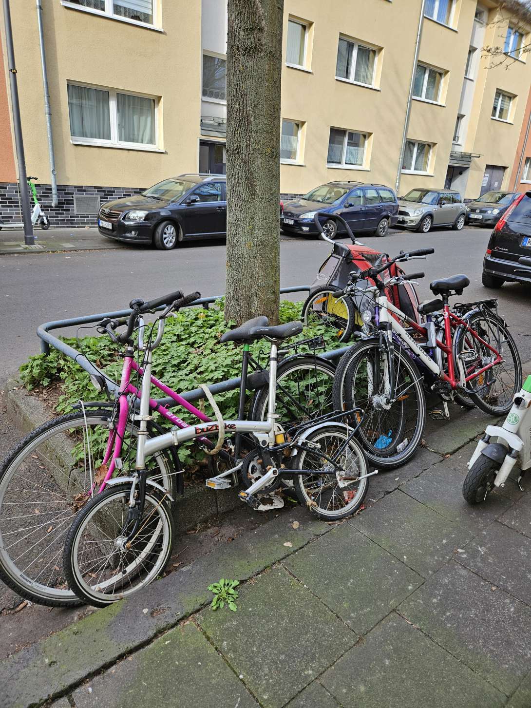 Bild zu gemeldetem Anliegen vom *2025-03-31 15:06:29