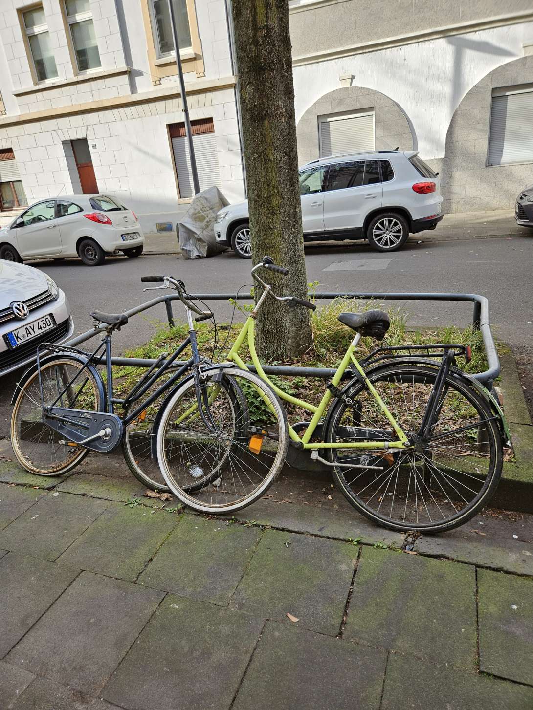 Bild zu gemeldetem Anliegen vom *2025-03-31 08:53:00