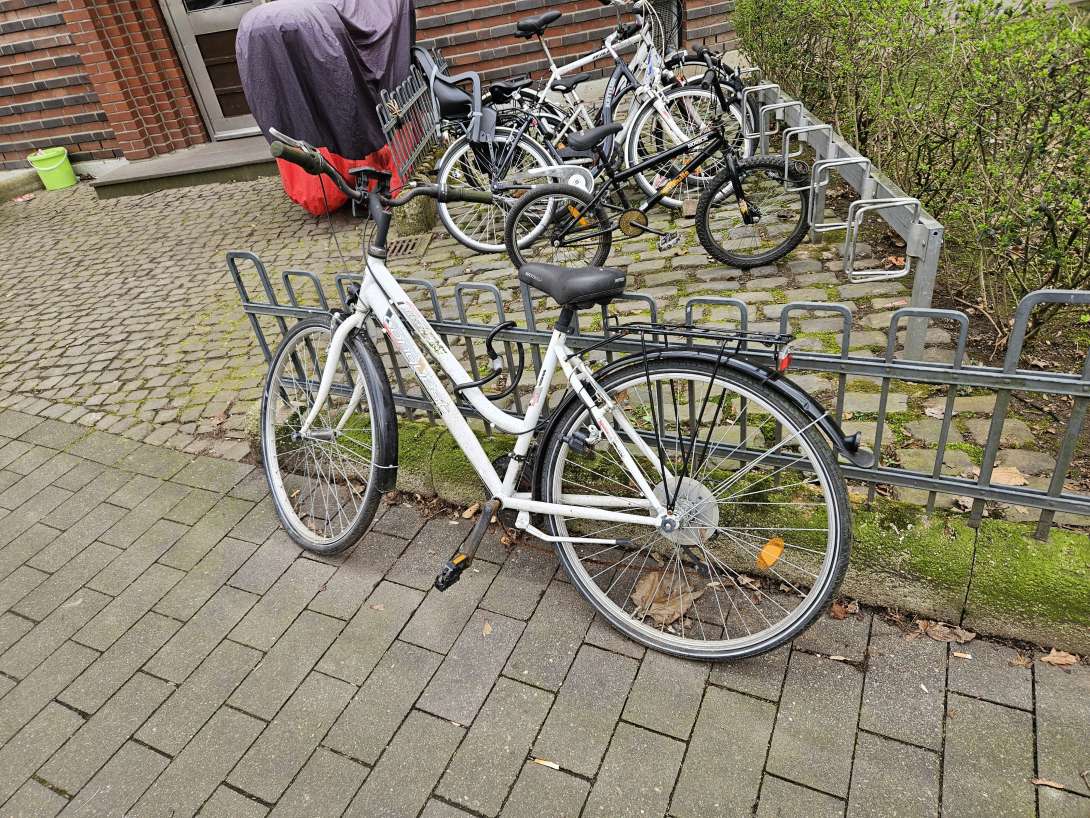 Bild zu gemeldetem Anliegen vom *2025-03-27 10:09:06