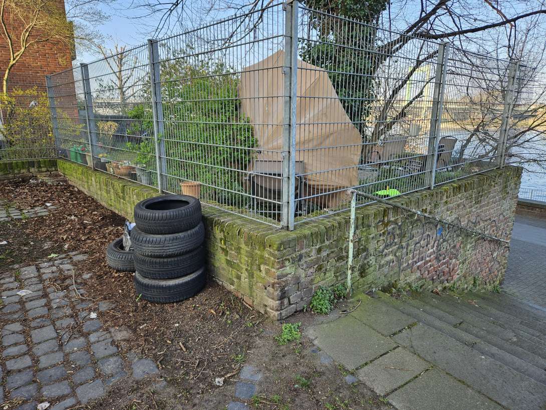 Bild zu gemeldetem Anliegen vom *2025-03-27 07:55:41