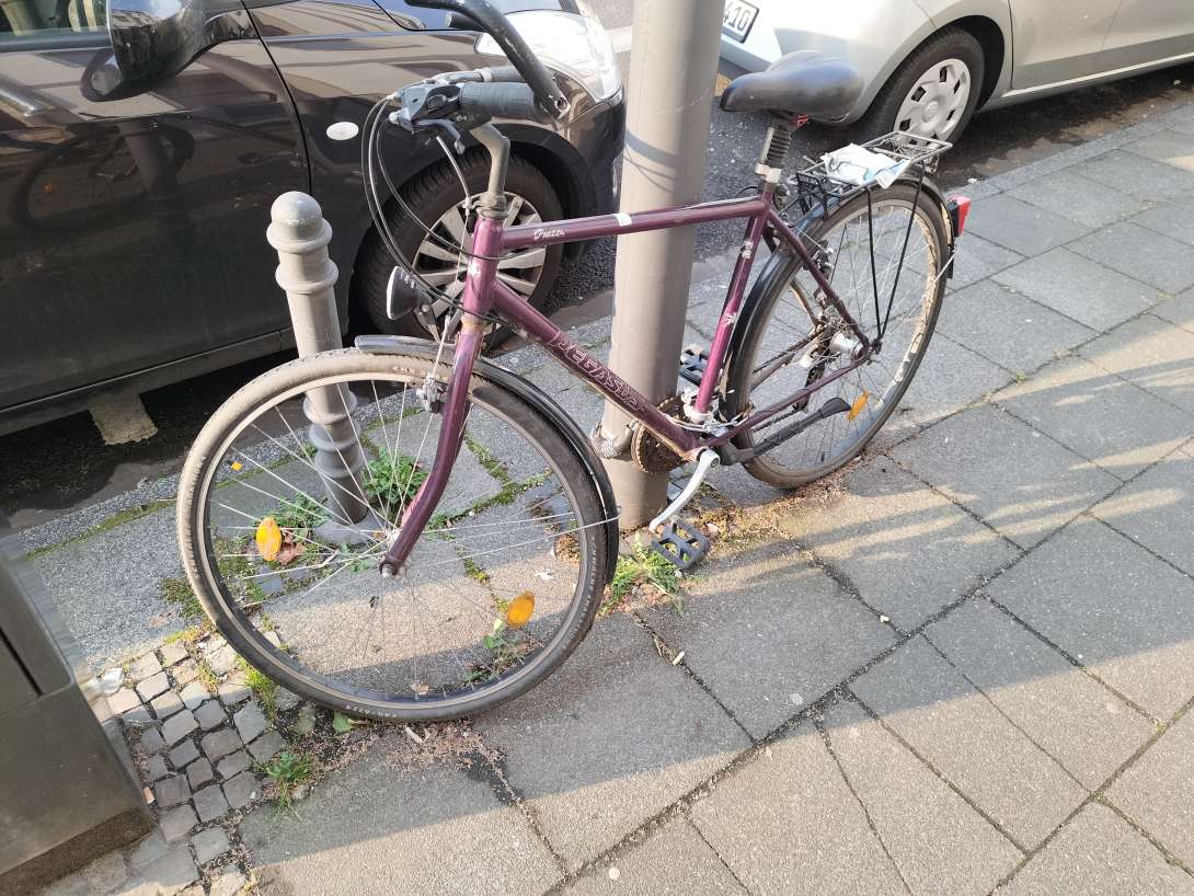 Bild zu gemeldetem Anliegen vom *2025-03-25 08:56:00