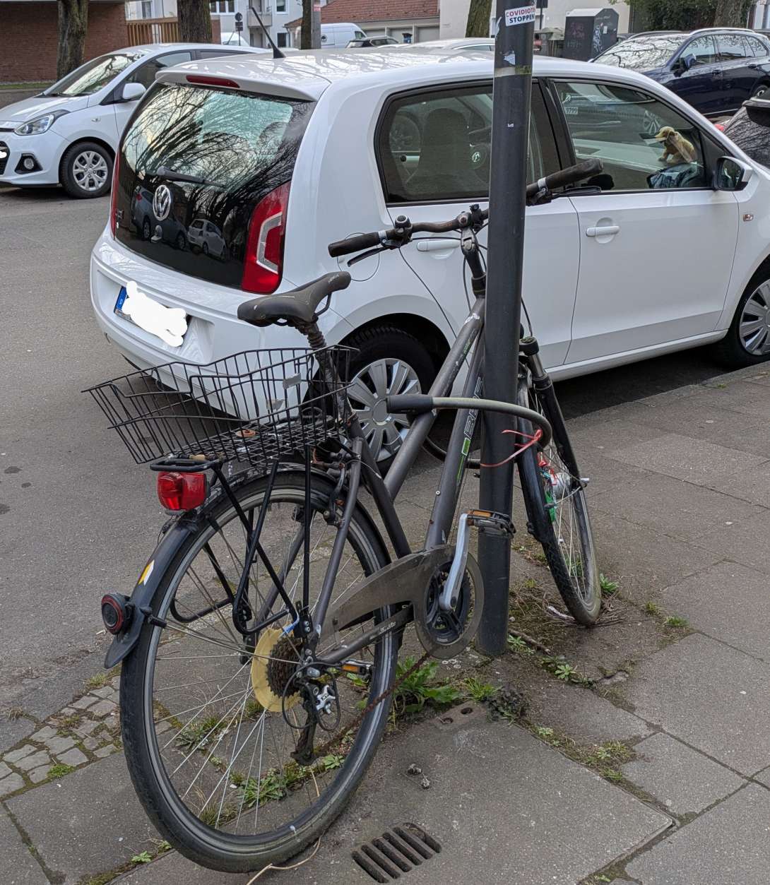 Bild zu gemeldetem Anliegen vom *2025-03-26 08:34:35
