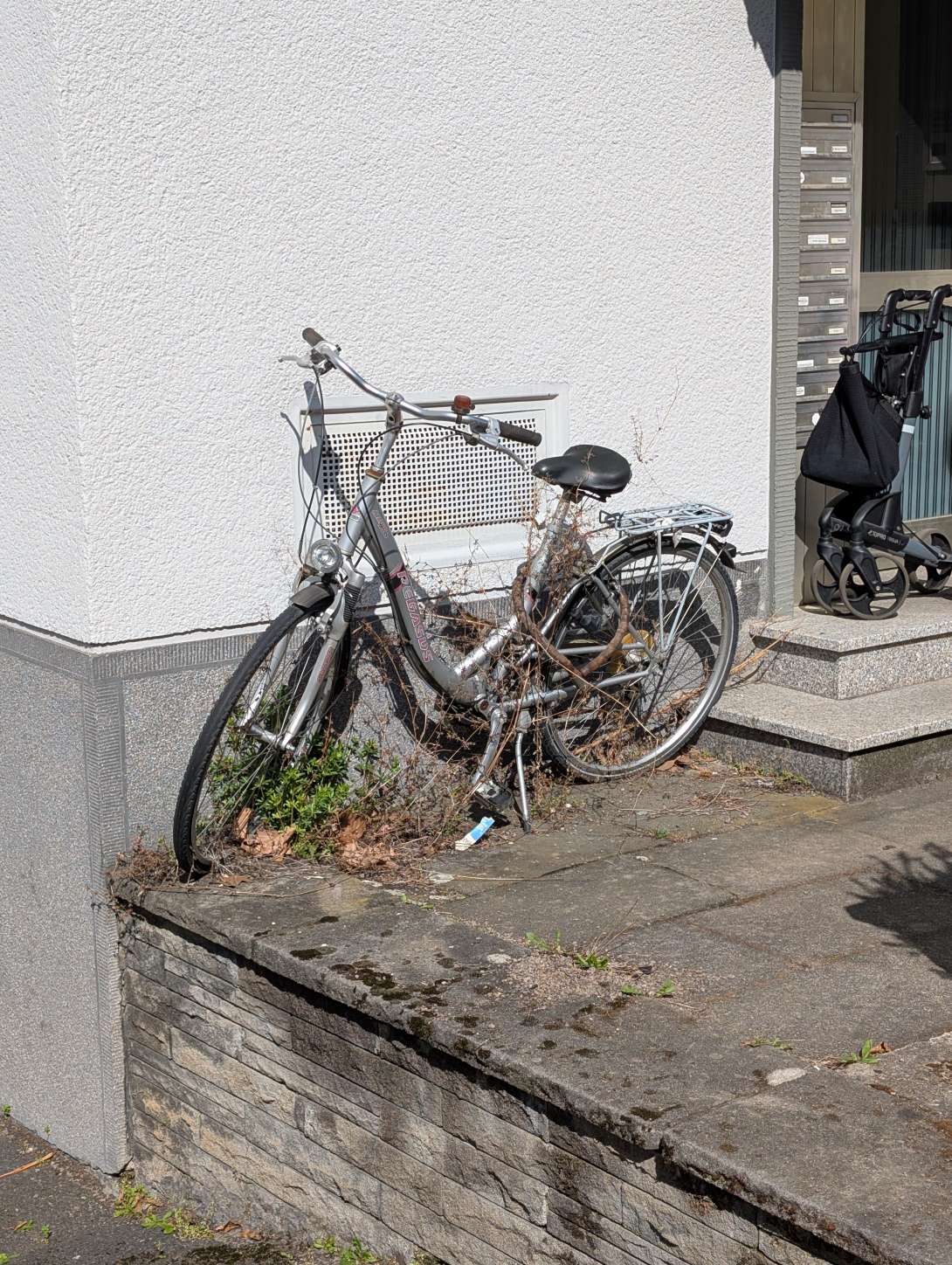 Bild zu gemeldetem Anliegen vom *2025-03-31 07:55:55