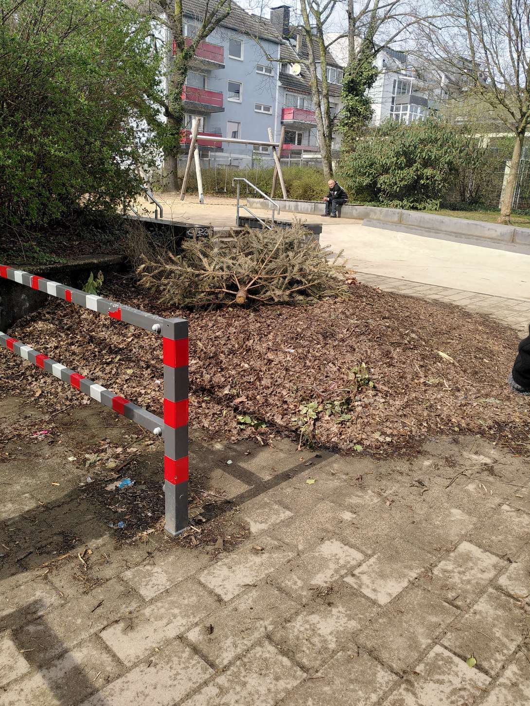Bild zu gemeldetem Anliegen vom *2025-03-23 13:39:04