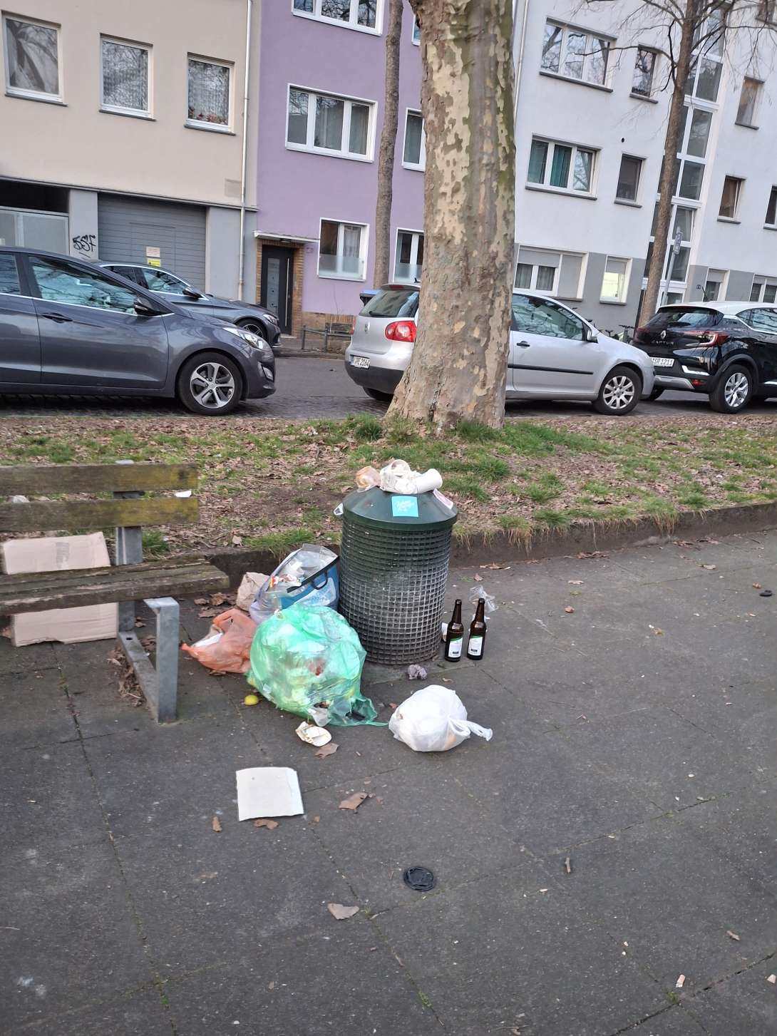 Bild zu gemeldetem Anliegen vom *2025-03-09 18:22:48