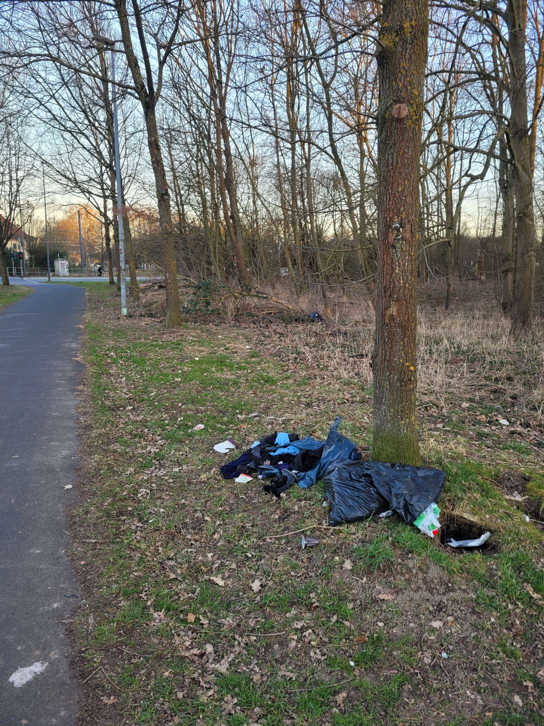 Bild zu gemeldetem Anliegen vom *2025-03-18 10:09:33
