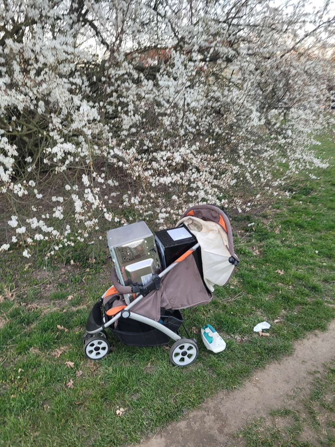 Bild zu gemeldetem Anliegen vom *2025-03-18 10:14:56