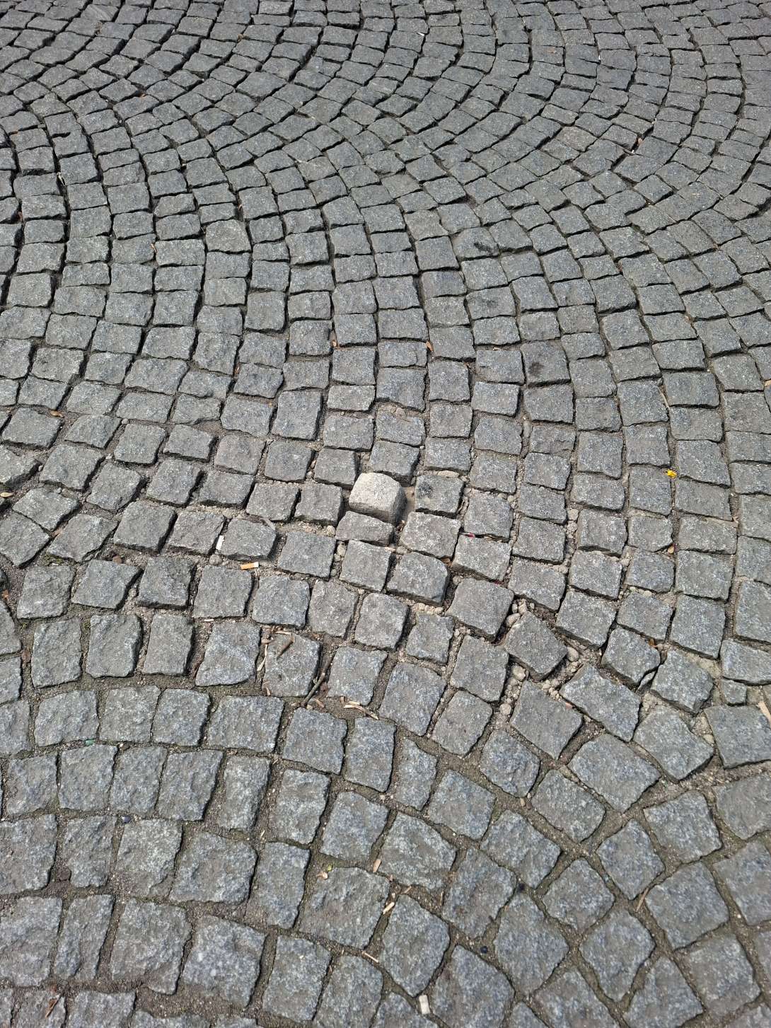 Bild zu gemeldetem Anliegen vom *2025-03-31 14:25:50