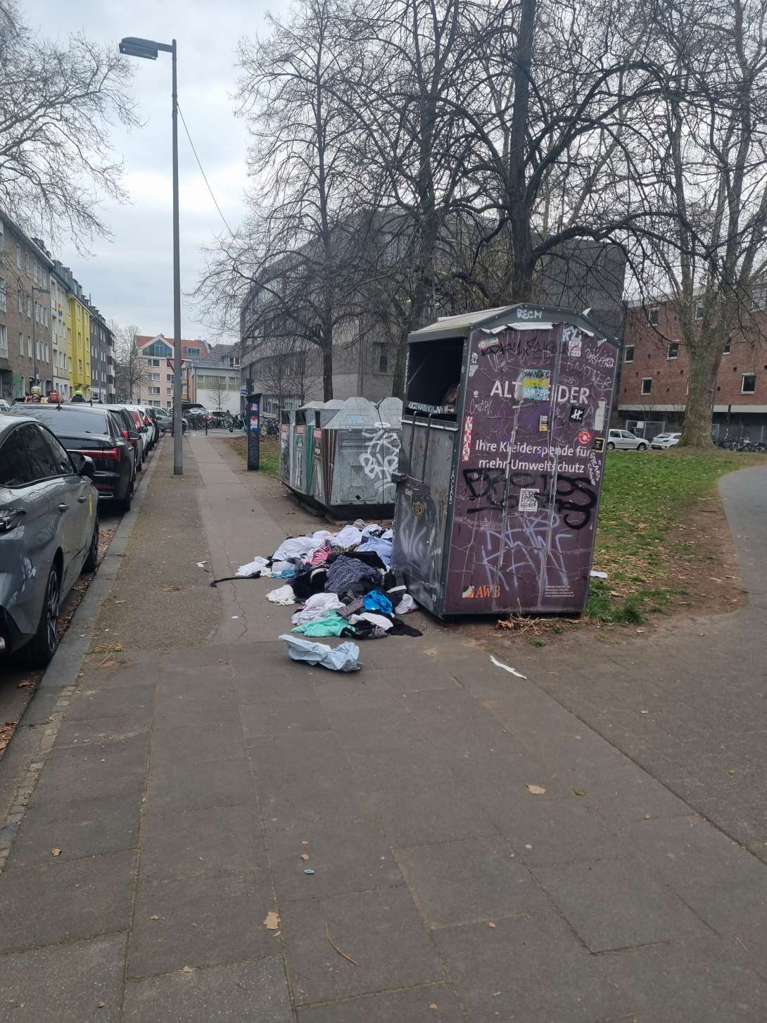 Bild zu gemeldetem Anliegen vom *2025-03-17 08:22:19