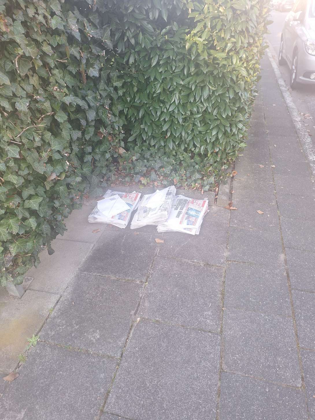 Bild zu gemeldetem Anliegen vom *2025-03-17 07:04:46