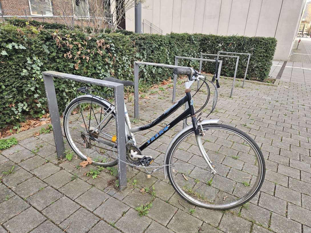 Bild zu gemeldetem Anliegen vom *2025-03-25 08:11:44