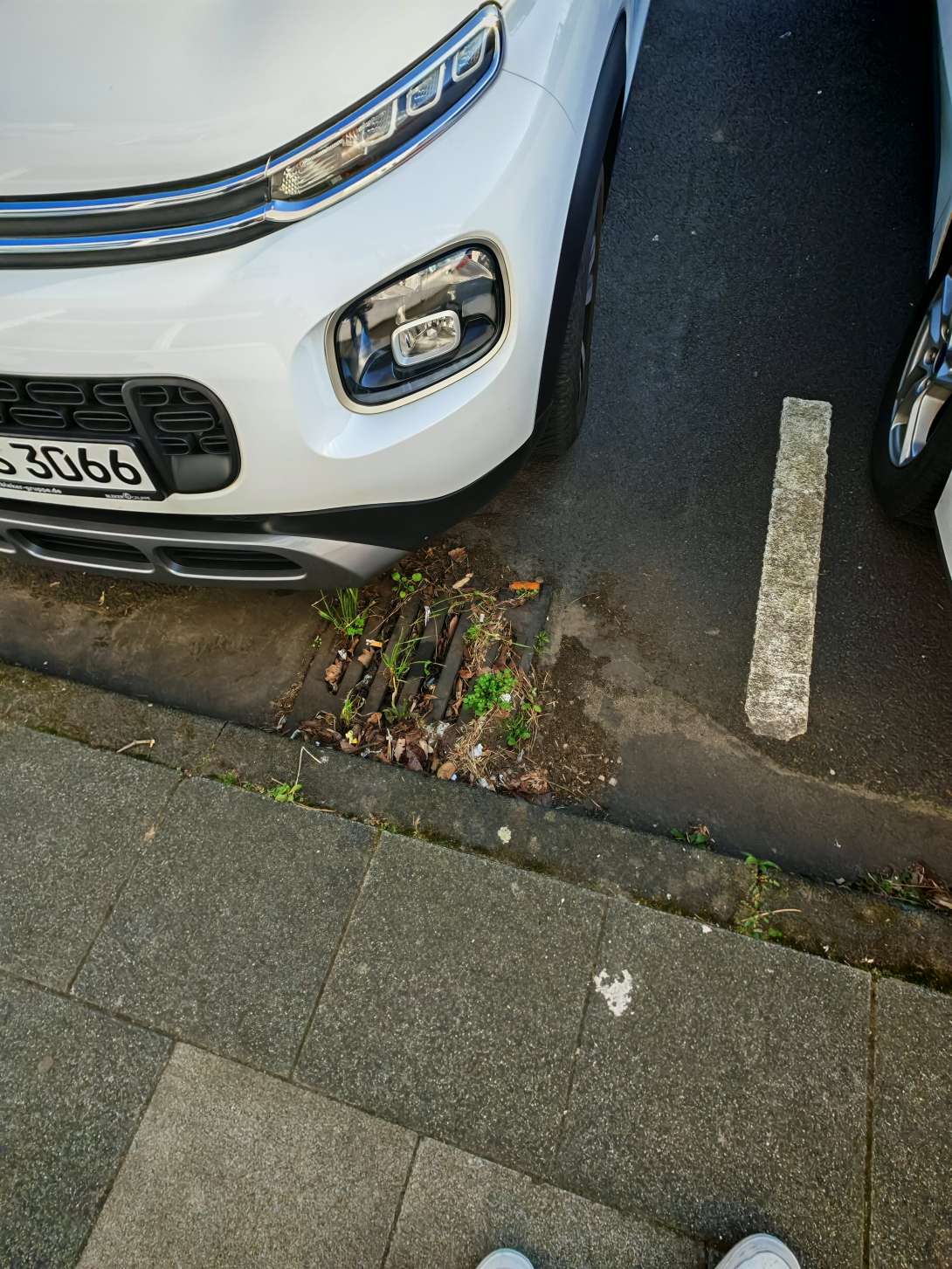 Bild zu gemeldetem Anliegen vom *2025-03-19 21:03:28