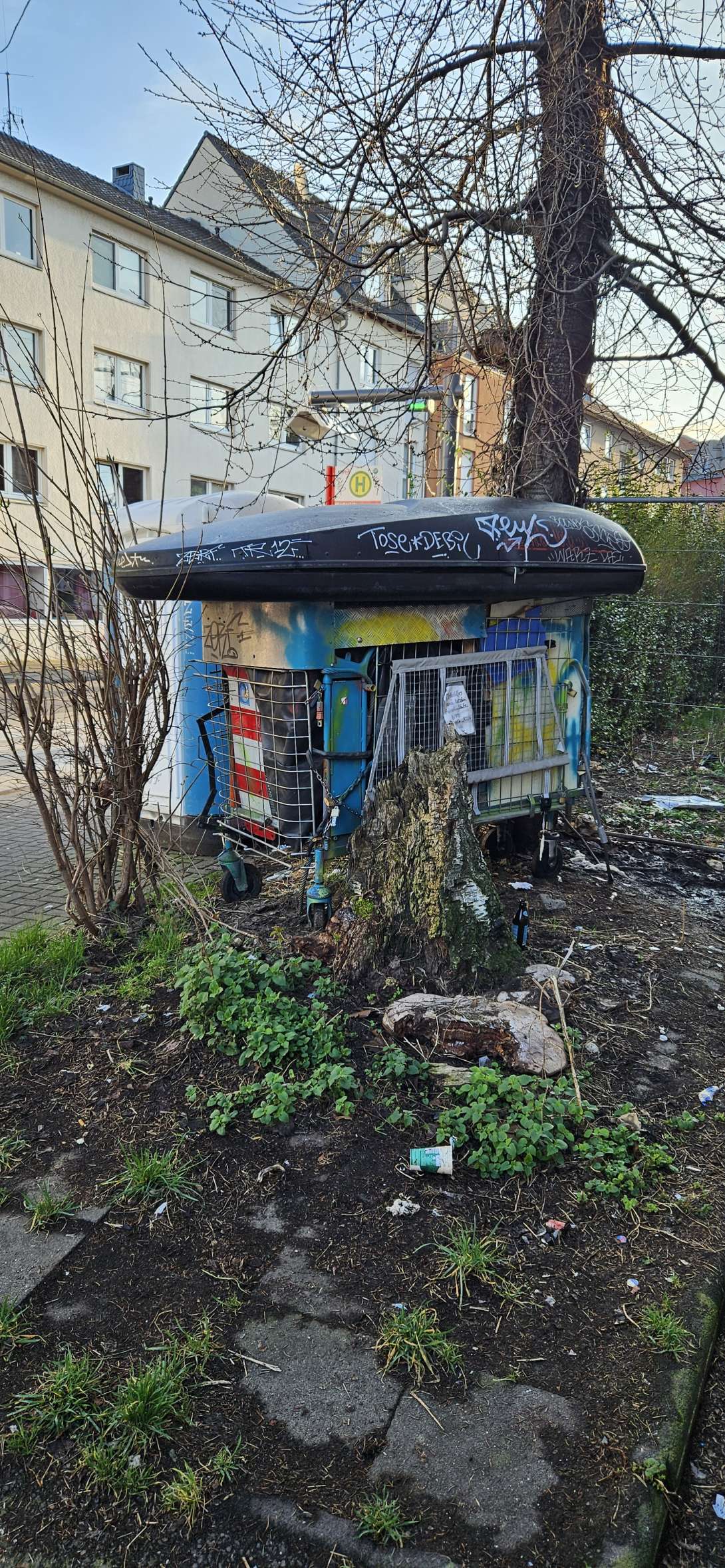 Bild zu gemeldetem Anliegen vom *2025-03-24 07:38:50