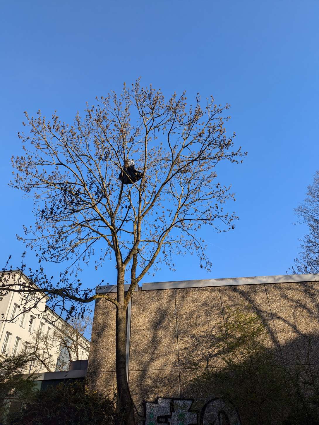 Bild zu gemeldetem Anliegen vom *2025-03-27 11:48:42