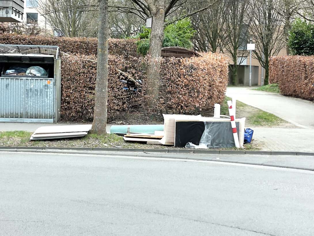 Bild zu gemeldetem Anliegen vom *2025-03-18 11:37:30