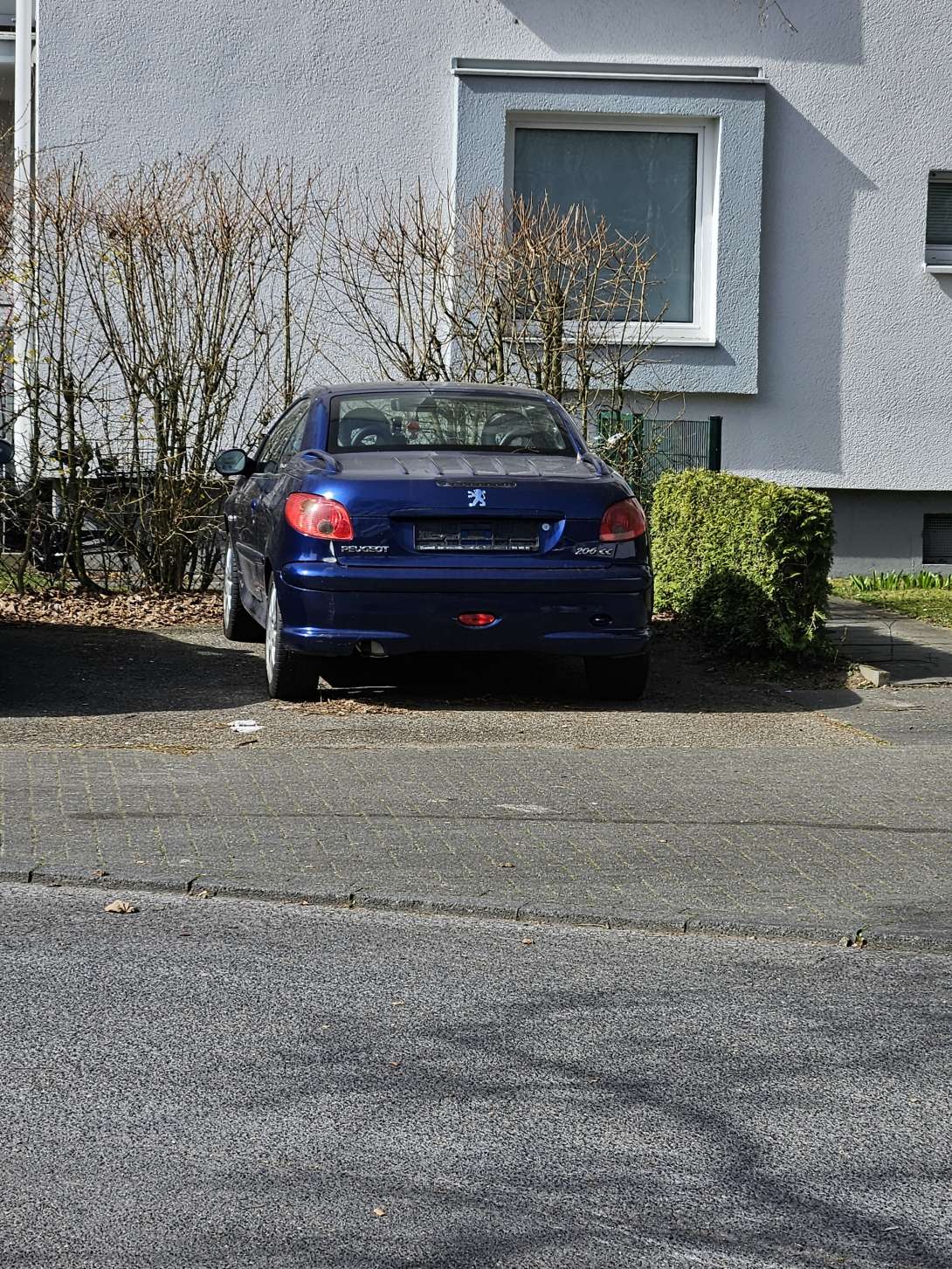 Bild zu gemeldetem Anliegen vom *2025-03-25 10:58:14