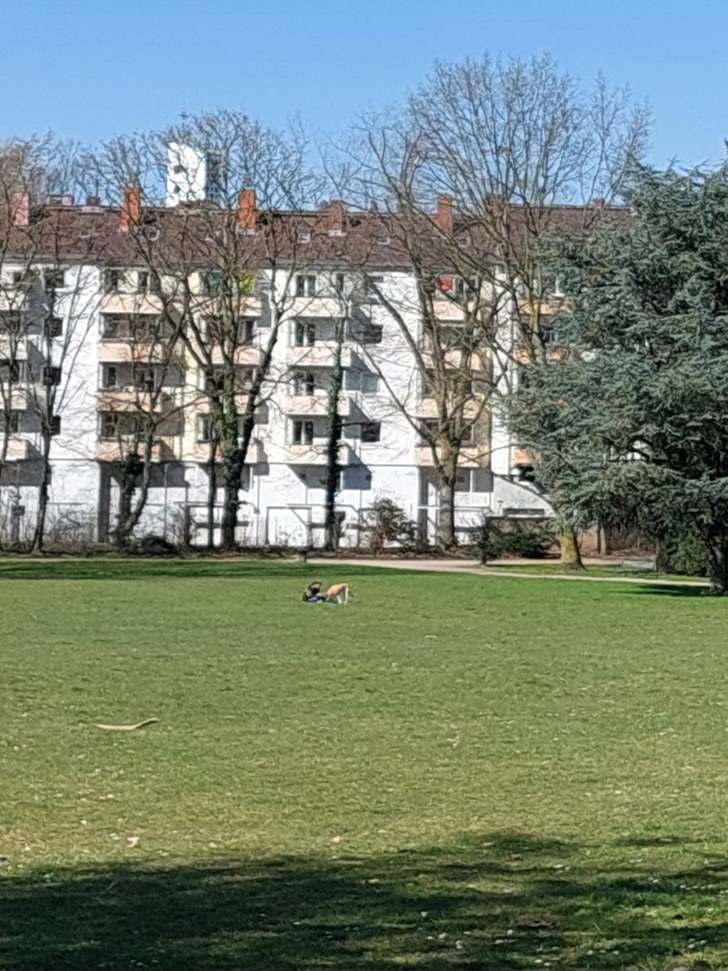 Bild zu gemeldetem Anliegen vom *2025-03-19 13:26:41