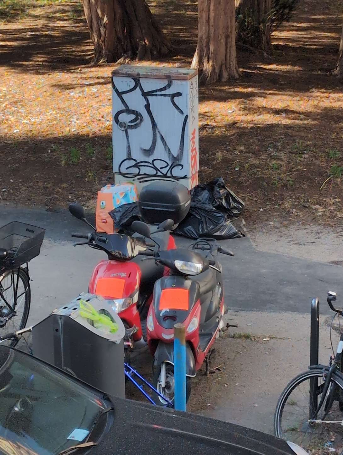 Bild zu gemeldetem Anliegen vom *2025-03-19 10:50:25