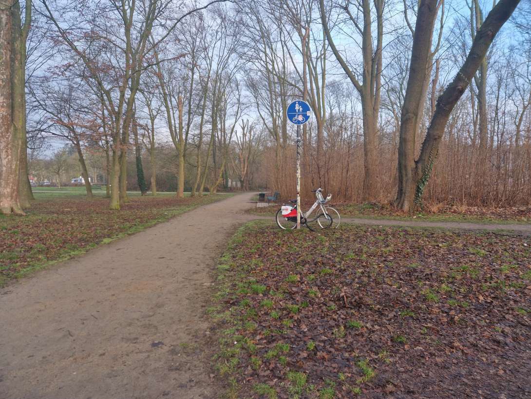 Bild zu gemeldetem Anliegen vom *2025-03-04 08:26:54