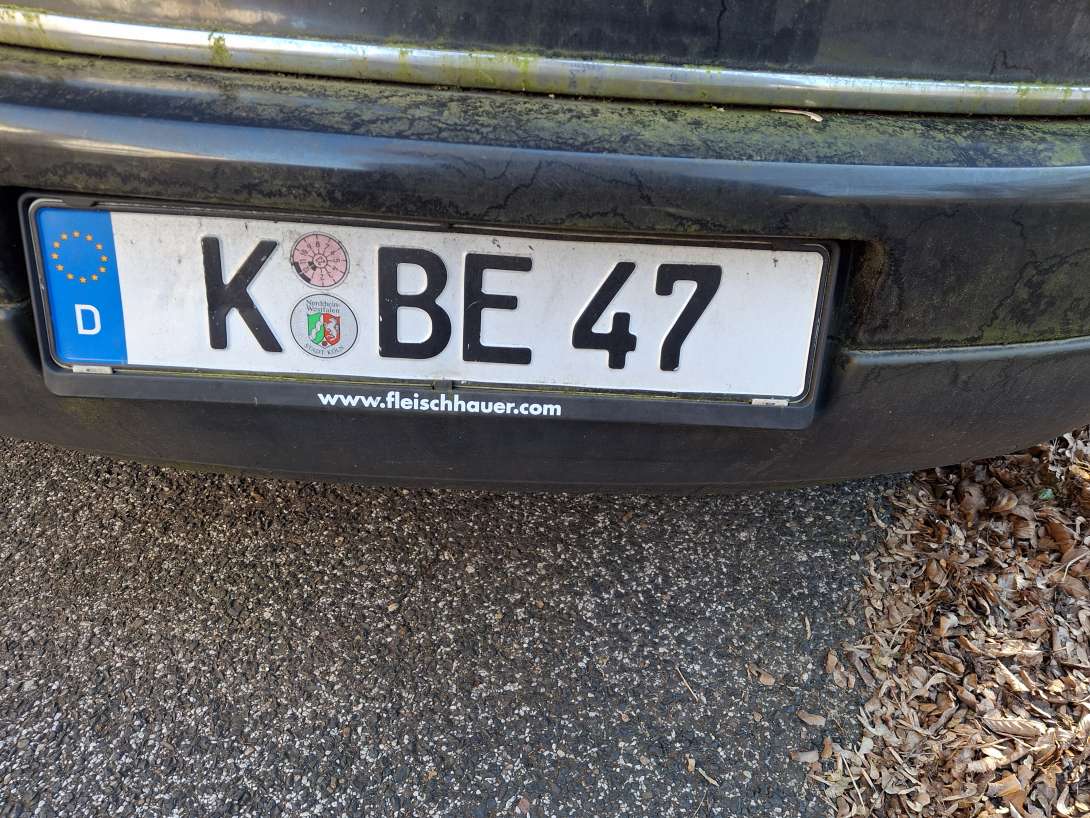 Bild zu gemeldetem Anliegen vom *2025-03-24 16:53:10