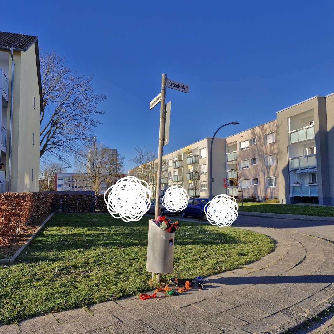 Bild zu gemeldetem Anliegen vom *2025-03-19 21:20:46
