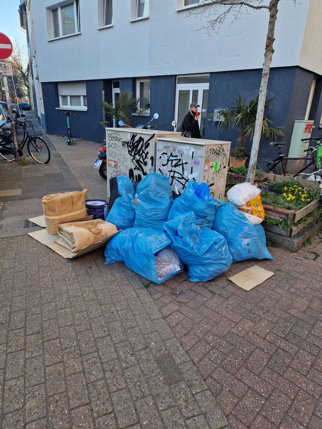 Bild zu gemeldetem Anliegen vom *2025-03-19 08:46:41