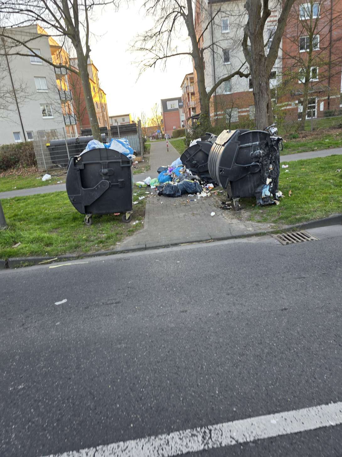 Bild zu gemeldetem Anliegen vom *2025-03-19 19:03:34