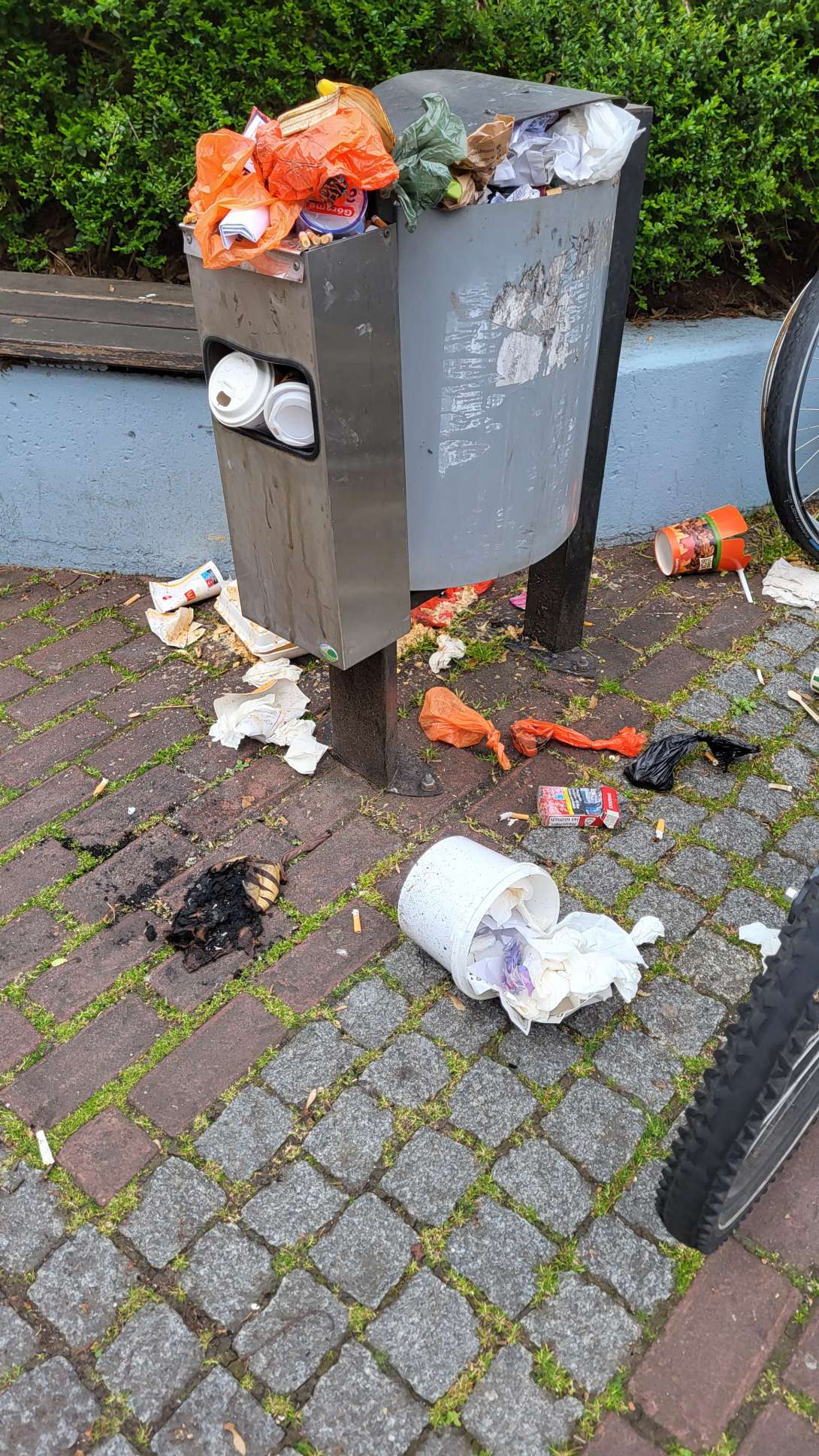 Bild zu gemeldetem Anliegen vom *2025-03-27 10:48:15