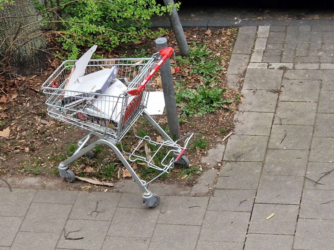 Bild zu gemeldetem Anliegen vom *2025-03-31 12:04:01